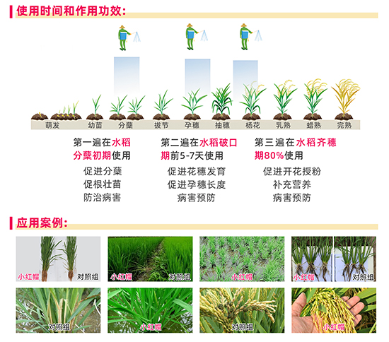 鏈爣棰?1.jpg 鏈爣棰?1.jpg