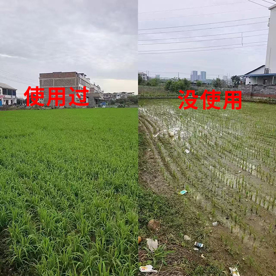 鏈爣棰?1.jpg 鏈爣棰?1.jpg
