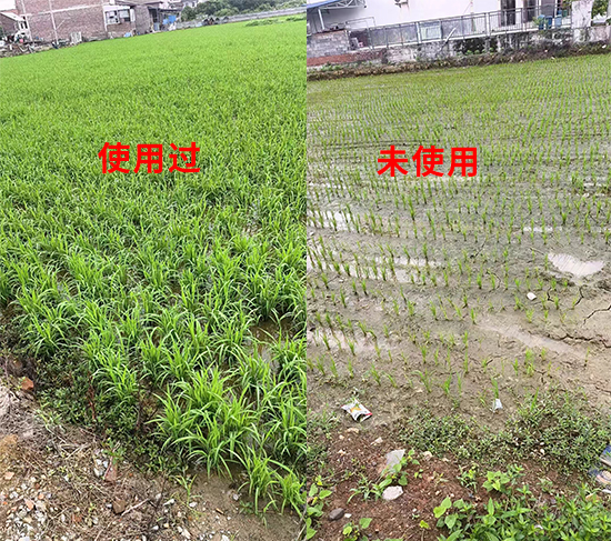 鏈爣棰?1.jpg 鏈爣棰?1.jpg